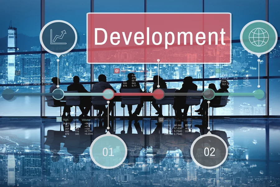 Professional Web Development