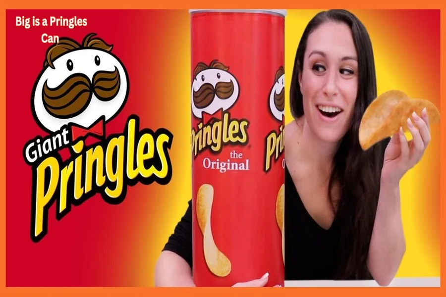 How Many Inches Is A Pringles Can Size And Dimensions