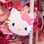 The Hello Kitty Case Photos Orange Pus Truth and History