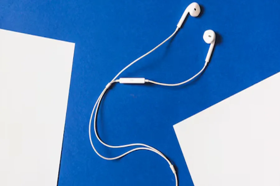 Wired Earphones