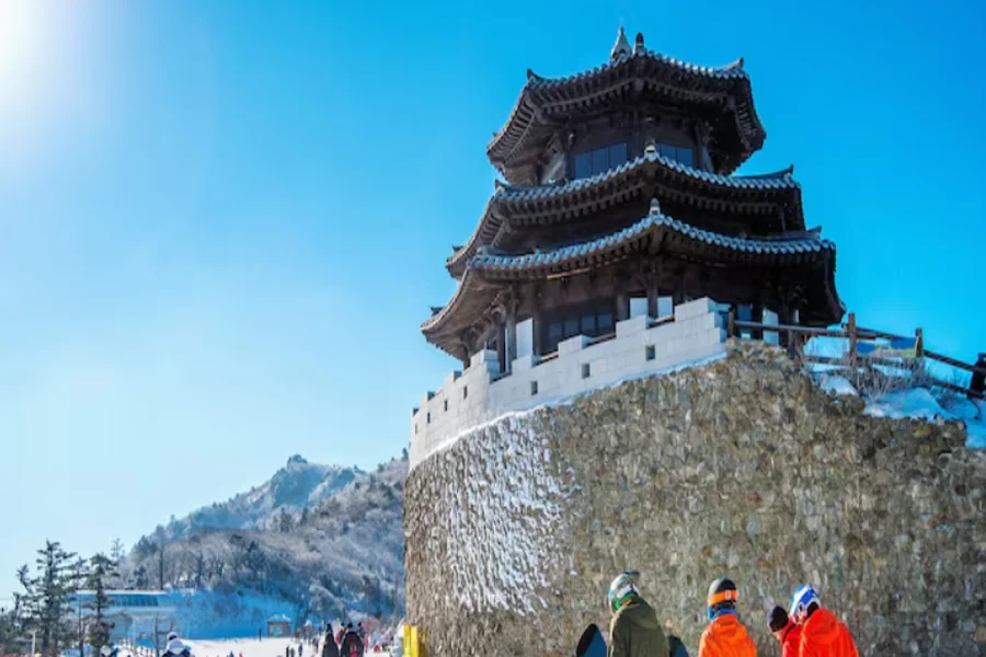 Exploring the Vibrant City of Sapporo: A Day Tour Itinerary