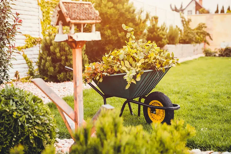 Fall Yard Cleanup Secrets That Protect Your Home Before Winter