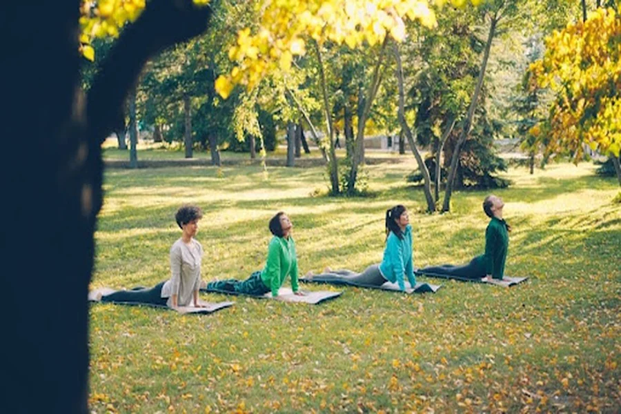 The Flourishing Yoga Scene: Insights into Contemporary Practices