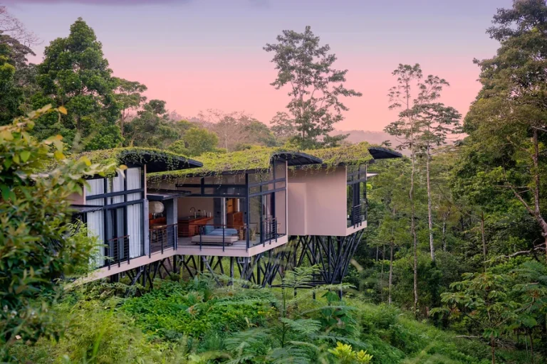 The Private Escape: Why the Next Frontier of Home Improvement is Immersive